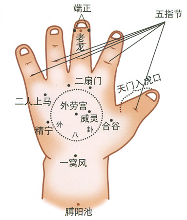 小儿推拿常用穴位：手肘部(3)